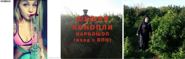 бошки Слюдянка