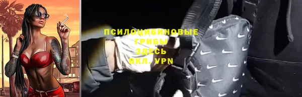 стаф Баксан