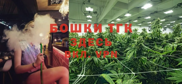 стаф Баксан
