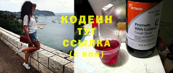 гашик Снежногорск