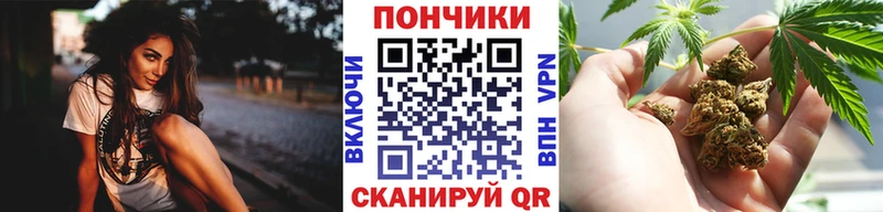 маркетплейс наркотические препараты  купить закладку  Чернушка  Бошки Шишки White Widow 